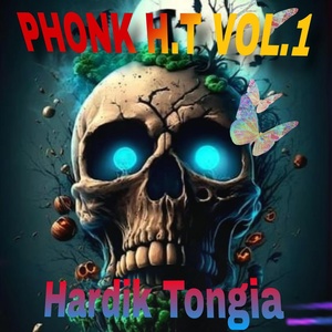 Обложка для Hardik Tongia - Funky Rage