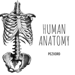 Обложка для Pezxord - Human anatomy