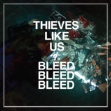 Обложка для Thieves Like Us - Marie Marie