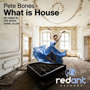 Обложка для Pete Bones - What Is House