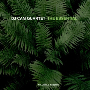 Обложка для DJ Cam Quartet special from Lu)) - Saint-Germain