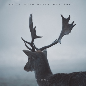 Обложка для White Moth Black Butterfly - Rising Sun