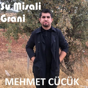 Обложка для Mehmet Cücük - Kürtler Vadisi