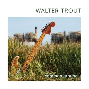 Обложка для Walter Trout - Excess Baggage