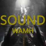 Обложка для WAMH - Sound