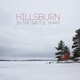 Обложка для Hillsburn - Shout