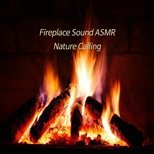 Обложка для 네이쳐콜링 Nature Calling - 벽난로소리 ASMR Fireplace Sound ASMR