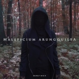 Обложка для MALEFICIUM ARUNGQUILTA - Мистика