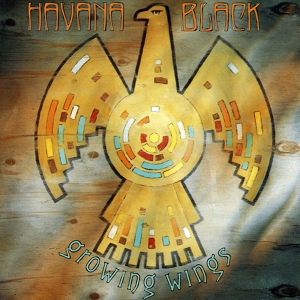 Обложка для Havana Black - Magic