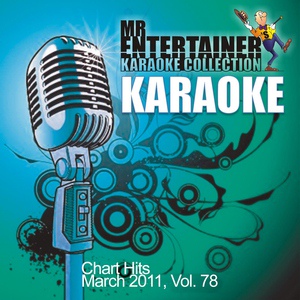 Обложка для Mr. Entertainer Karaoke - Shake Me Down (In the Style of Cage the Elephant) [Karaoke Version]