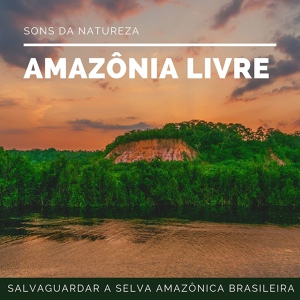 Обложка для Sons da Natureza Relax - Ouro Verde