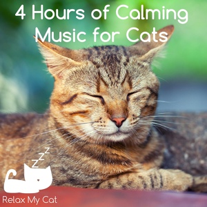 Обложка для RelaxMyCat - Sleeping Cat