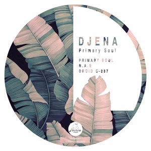 Обложка для Djena - Primary Soul