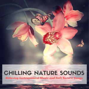Обложка для Ambience Sounds of Nature Specialists - Relaxing Instrumental Music