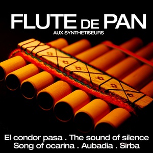 Обложка для Pablo Montoya - The Sounds of Silence 悟