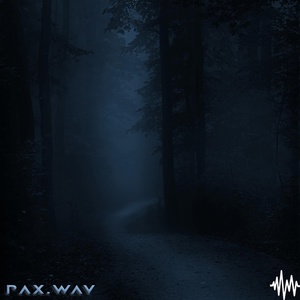 Обложка для PAX.WAV - REM