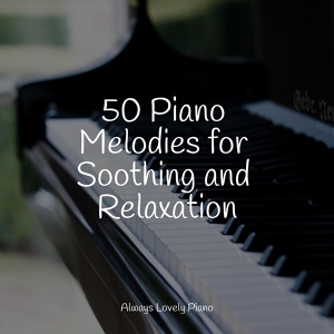 Обложка для Study Power, Los Pianos Barrocos, Canciones de Cuna Relax - Pillow Peaceful