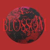 Обложка для NSB - BLOSSOM
