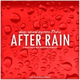 Обложка для Deep Sound Express feat. Raha - After Rain