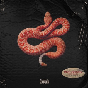 Обложка для Mick Jenkins - Snakes (feat. Kojey Radical)