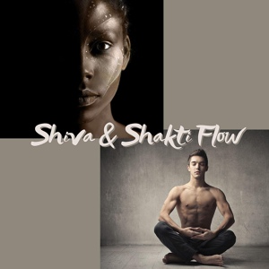 Обложка для Buddha Tribe - Shiva & Shakti Flow