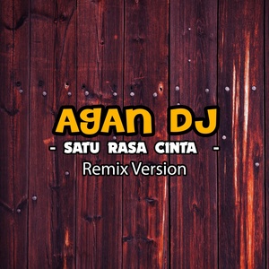 Обложка для Agan DJ - Satu Rasa Cinta