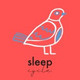 Обложка для Kinderliedjes Baby TaTaTa, Slaapcyclus - Two Birds