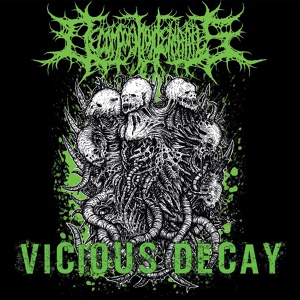 Обложка для Decomposition of Entrails - Obsessed Bitches