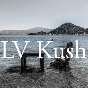 Обложка для LowKick - Lv Kush