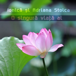Обложка для Ionică și Adriana Stoica - Gabata