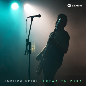 Обложка для Дмитрий Юрков - Когда ты - река(концерт)