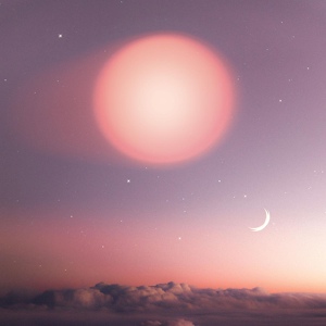 Обложка для Stardust Dreams - Moonflower