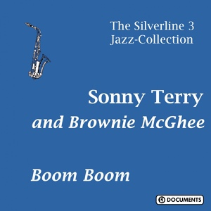 Обложка для Sonny Terry And Brownie McGhee - Sonny Is Drinking