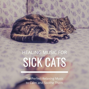 Обложка для Oasis of Cats - Lovely Animals