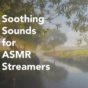Обложка для Bearded Audio ASMR - A Walk In A Windy Forest (Perfect Loop)