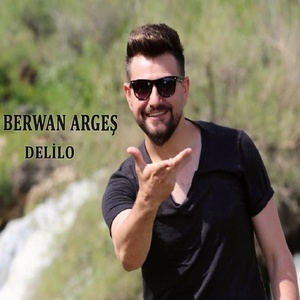 Обложка для Bervan Argeş - Delilo