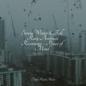 Обложка для Rain Sounds ACE, Rain Sound Studio, Nature Ambience - Soft Rain & Gentle Thunder