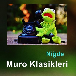 Обложка для Muro Klasikleri - Niğde