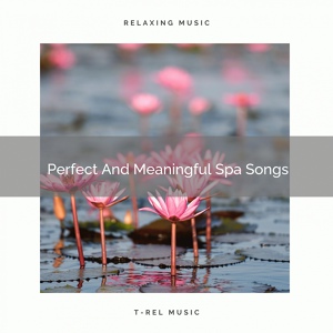 Обложка для Perfect Meditation - Perfect And Meaningful Yoga Tunes