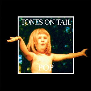 Обложка для Tones On Tail - Lions