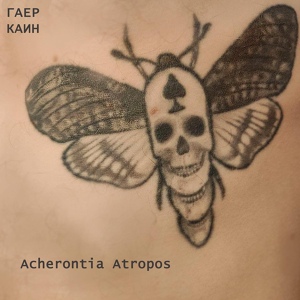 Обложка для ГАЕР КАИН - Acherontia Atropos