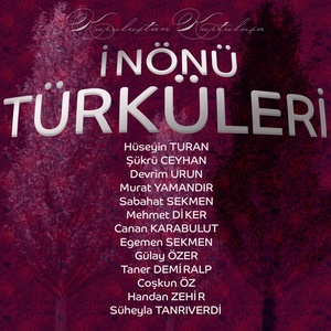 Обложка для Gülay Özer - Kütahya'nın Çamları