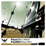 Обложка для Paul SG - Grey Skin