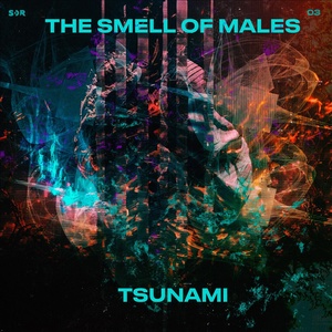 Обложка для The Smell of Males - Tsunami