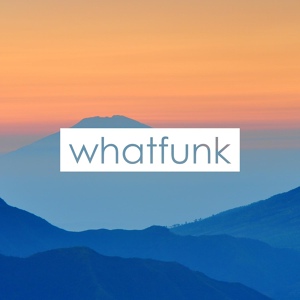 Обложка для whatfunk - Never Stop