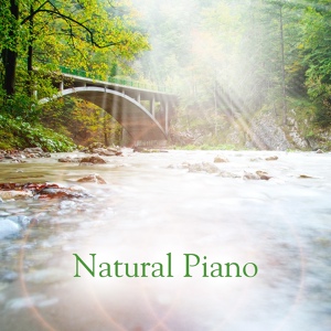 Обложка для Natural Piano Music - Twinkle Twinkle Little Star