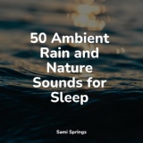 Обложка для Nature Sounds, Wellness, Relax Meditation Sleep - Birds by a Creek