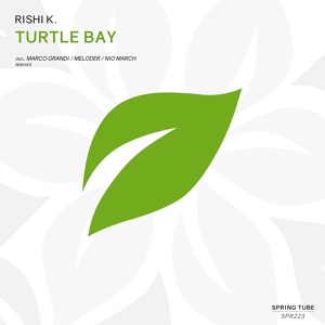 Обложка для Rishi K. - Turtle Bay