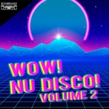 Обложка для Nu Disco Bitches - My, Myself & I