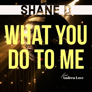 Обложка для Shane D feat. Andrea Love - What You Do to Me